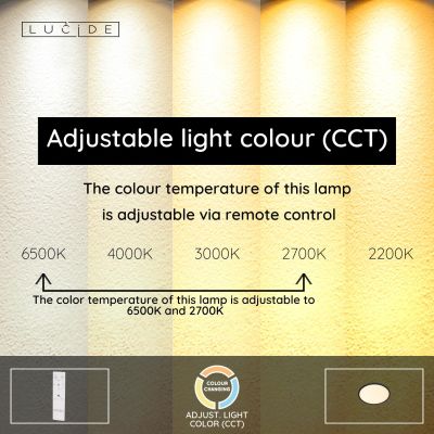 Lucide CASTOR - Flush ceiling light Indoor/Outdoor - Ø 32 cm - LED Dim. - CCT - 1x20W 2700K/6500K - IP44 - Rgb - Opal